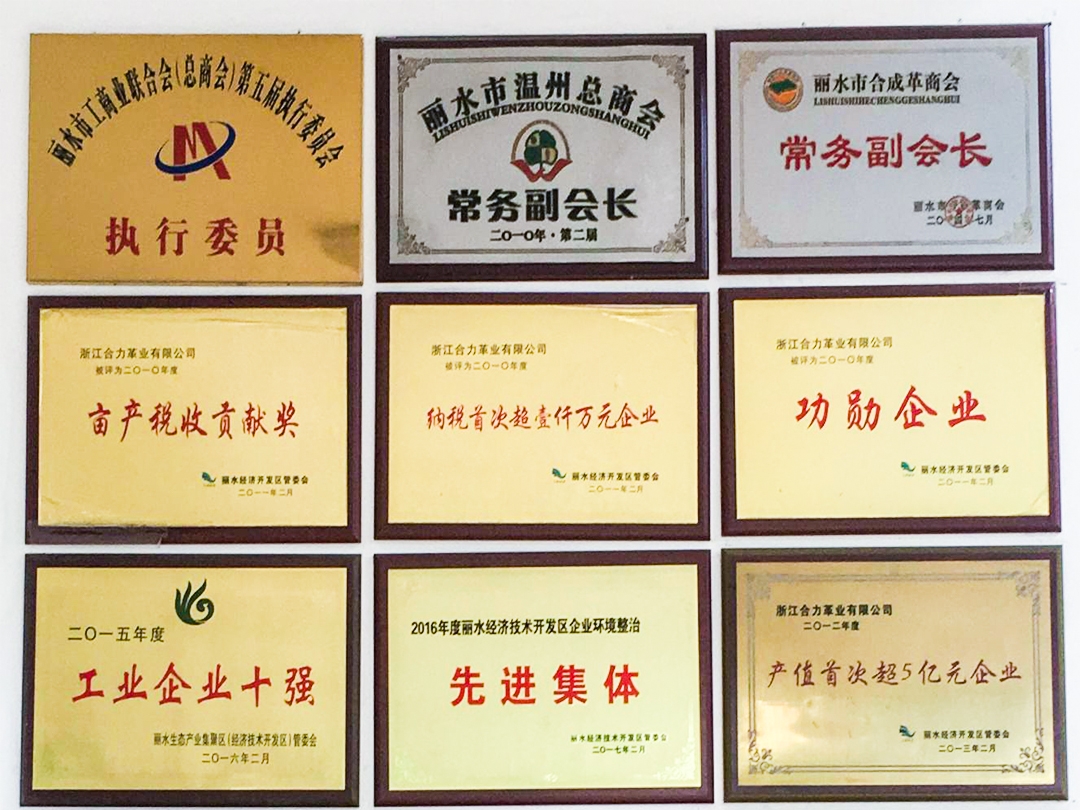 公司榮譽